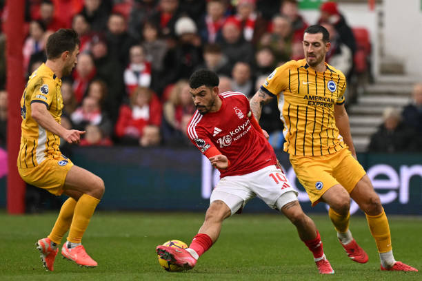 本人来说 本人来说