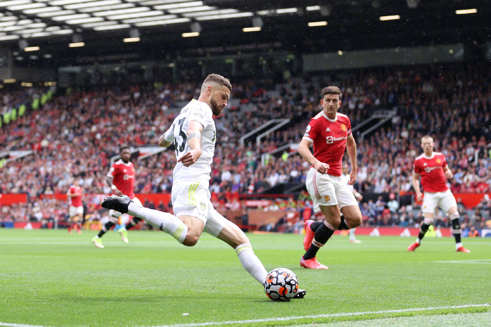 梦想回归贝 梦想回归贝