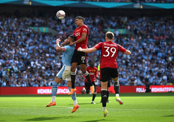 马的年轻后 马的年轻后