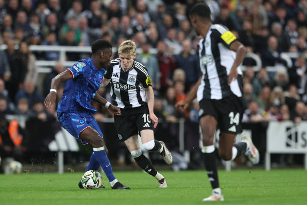 河南注重 河南注重